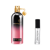 MONTALE STARRY NIGHTS